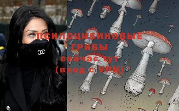 синтетический гашиш Алексеевка