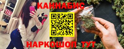 mdpv Бердск