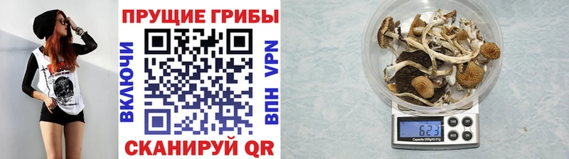 Псилоцибиновые грибы Magic Shrooms  мориарти официальный сайт  Пермь 