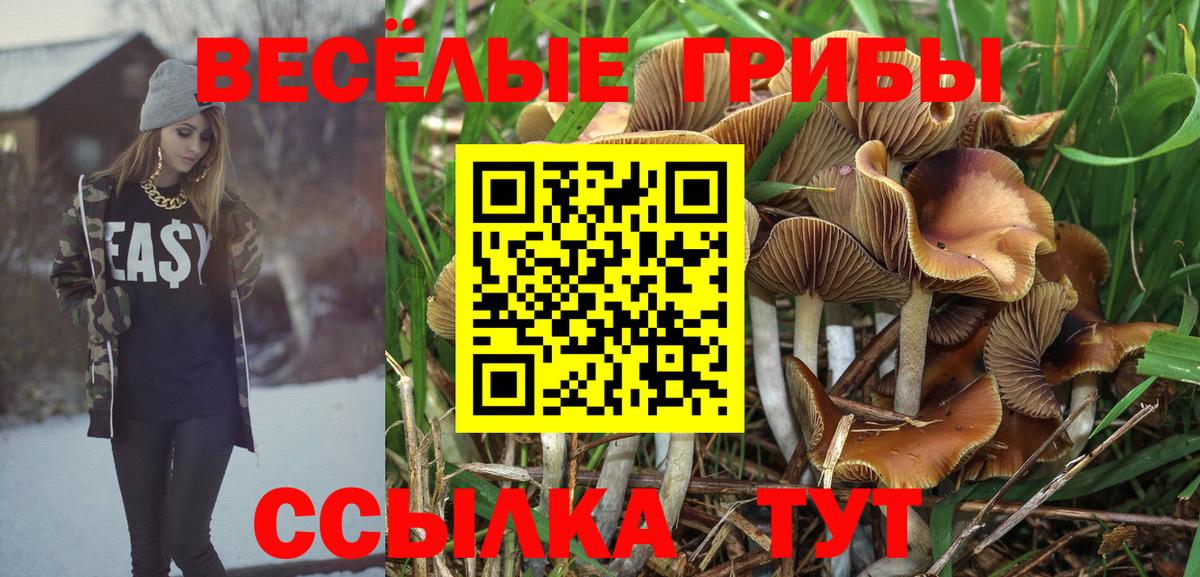 Галлюциногенные грибы прущие грибы Пермь