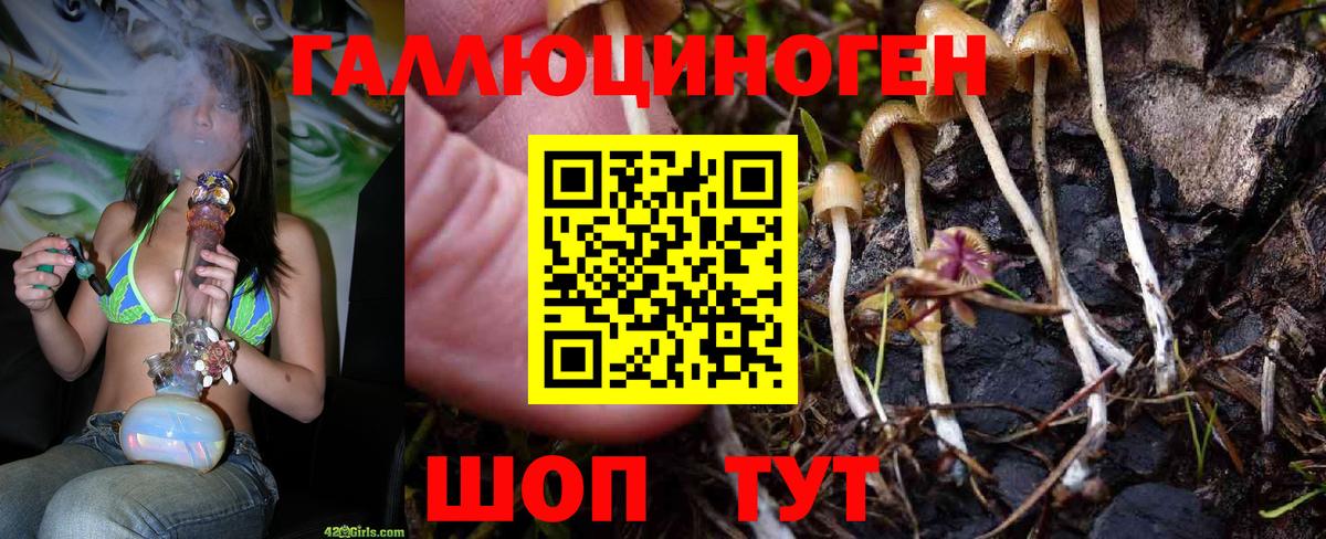 Пермь  Псилоцибиновые грибы прущие грибы  Галлюциногенные грибы Psilocybe  Вход с VPN 